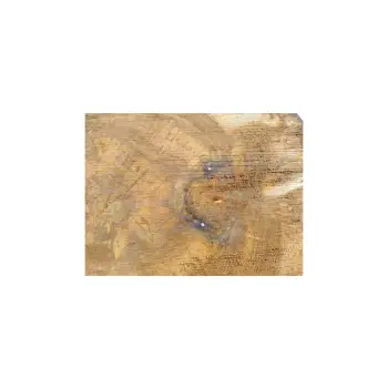 Plaster Orzecha Włoskiego 43x43x5cm