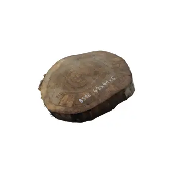 Plaster Orzecha Włoskiego 42x41x6cm