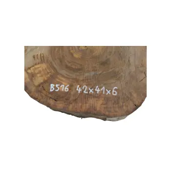 Plaster Orzecha Włoskiego 42x41x6cm