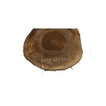 Plaster Orzecha Włoskiego 43x42x5cm