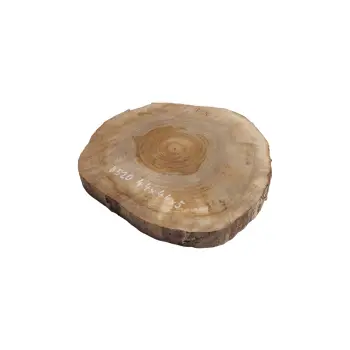 Plaster Orzecha Włoskiego 44x44x5cm