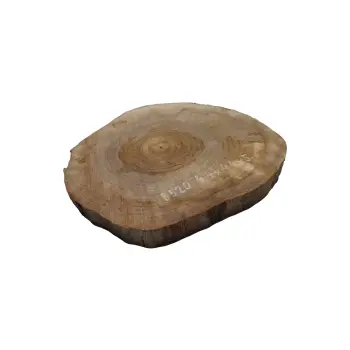 Plaster Orzecha Włoskiego 44x44x5cm