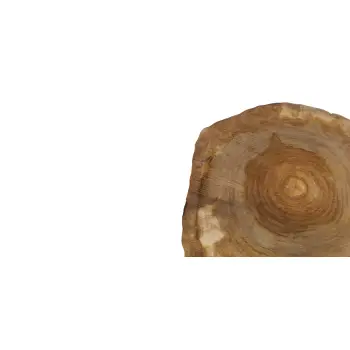 Plaster Orzecha Włoskiego 46x45x5cm