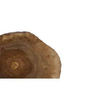 Plaster Orzecha Włoskiego 46x45x5cm