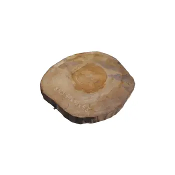 Plaster Orzecha Włoskiego 41x42x4,5cm