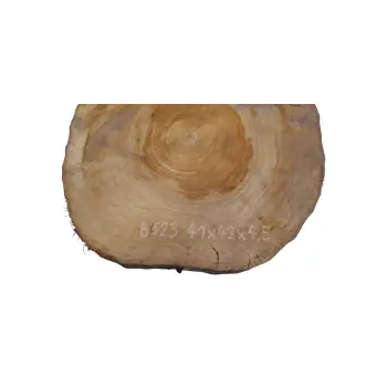 Plaster Orzecha Włoskiego 41x42x4,5cm