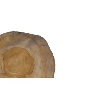 Plaster Orzecha Włoskiego 41x42x4,5cm