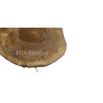 Plaster Orzecha Włoskiego 43x43x5cm