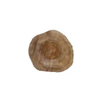 Plaster Orzecha Włoskiego 43x43x5cm