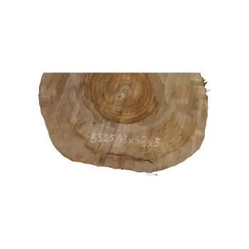 Plaster Orzecha Włoskiego 43x43x5cm