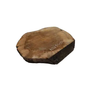 Plaster Orzecha Włoskiego 51x50x6cm