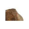 Plaster Orzecha Włoskiego 51x49x6cm