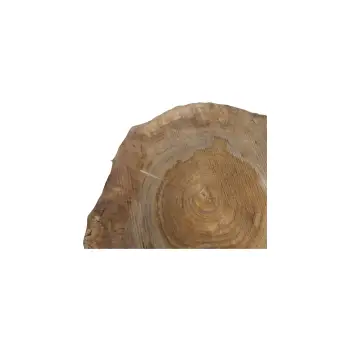 Plaster Orzecha Włoskiego 49x47x7,5cm