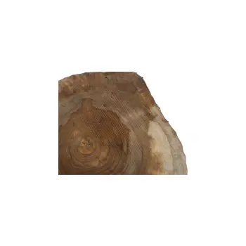 Plaster Orzecha Włoskiego 49x47x7,5cm