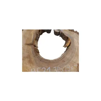 Plaster Orzecha Włoskiego 30x29x4cm
