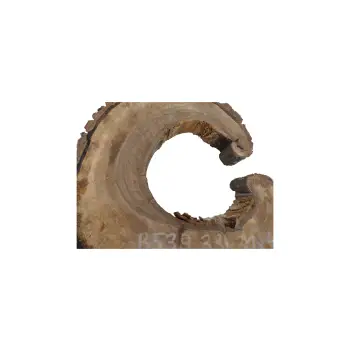 Plaster Orzecha Włoskiego 33x31x4cm