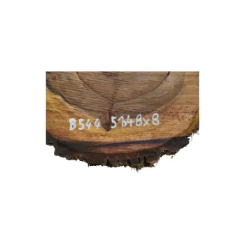 Plaster Orzecha Włoskiego 51x48x8cm