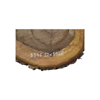 Plaster Orzecha Włoskiego 52x51x6cm