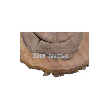 Plaster Orzecha Włoskiego 56x53x6cm