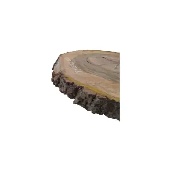 Plaster Orzecha Włoskiego 55x55x6cm