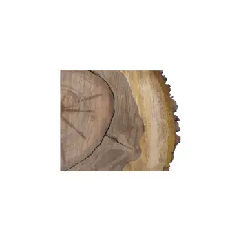 Plaster Orzecha Włoskiego 55x55x6cm