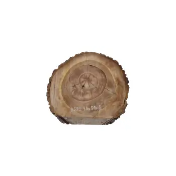 Plaster Orzecha Włoskiego 55x51x6cm