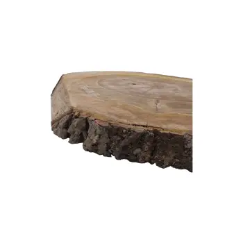Plaster Orzecha Włoskiego 55x51x6cm