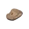 Plaster Orzecha Włoskiego 50x43x6cm