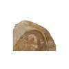 Plaster Orzecha Włoskiego 48x46x5cm
