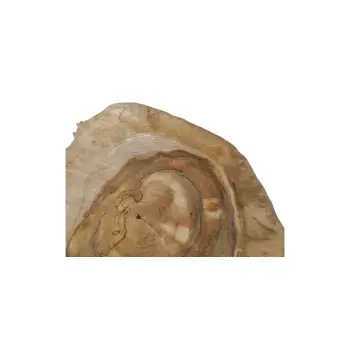 Plaster Orzecha Włoskiego 48x46x5cm