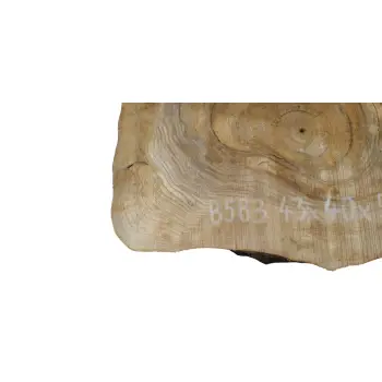 Plaster Orzecha Włoskiego 43x40x5cm