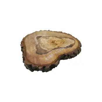 Plaster Orzecha Włoskiego 40x34x4cm