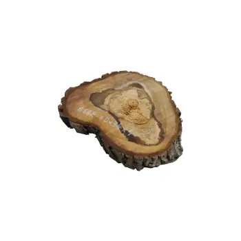 Plaster Orzecha Włoskiego 40x34x4cm