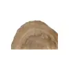Plaster Orzecha Włoskiego 43x40x5cm
