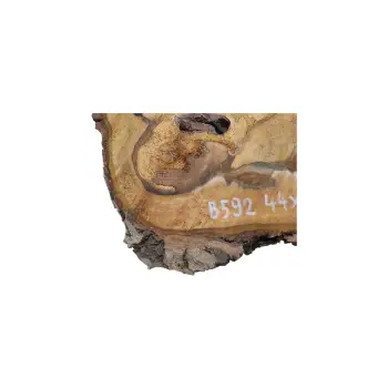 Plaster Orzecha Włoskiego 44x36x5cm