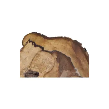 Plaster Orzecha Włoskiego 44x36x5cm