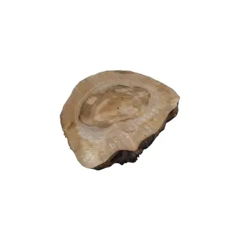 Plaster Orzecha Włoskiego 42x41x5cm