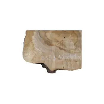 Plaster Orzecha Włoskiego 42x41x5cm