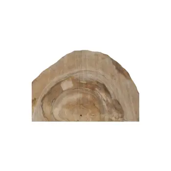 Plaster Orzecha Włoskiego 42x41x5cm