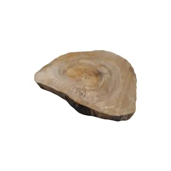 Plaster Orzecha Włoskiego 44x39x5cm