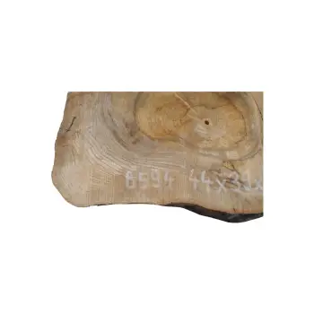 Plaster Orzecha Włoskiego 44x39x5cm