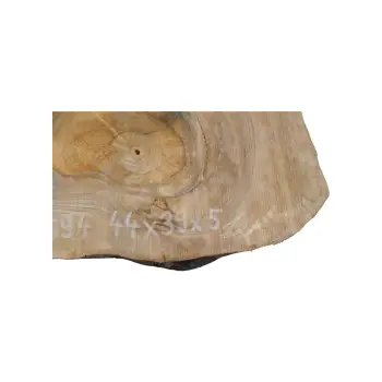 Plaster Orzecha Włoskiego 44x39x5cm