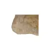 Plaster Orzecha Włoskiego 46x38x5cm