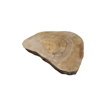 Plaster Orzecha Włoskiego 46x38x5cm