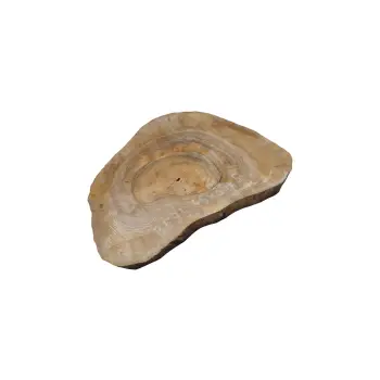 Plaster Orzecha Włoskiego 46x38x5cm