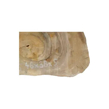 Plaster Orzecha Włoskiego 46x38x5cm