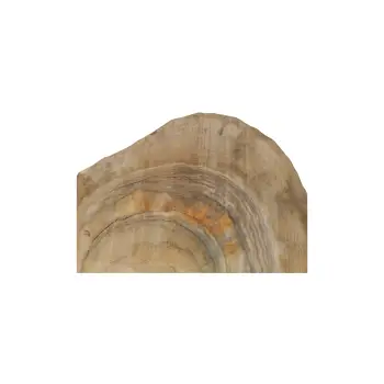 Plaster Orzecha Włoskiego 46x38x5cm