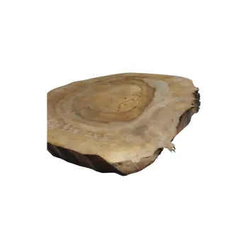 Plaster Orzecha Włoskiego 43x42x5cm