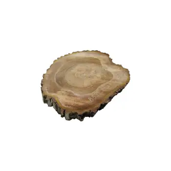 Plaster Orzecha Włoskiego 45x43x5cm