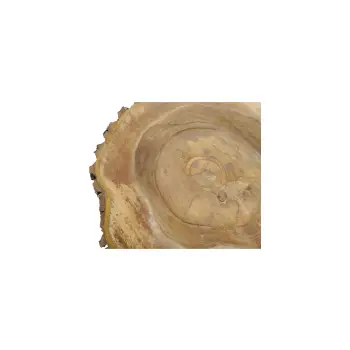 Plaster Orzecha Włoskiego 45x43x5cm
